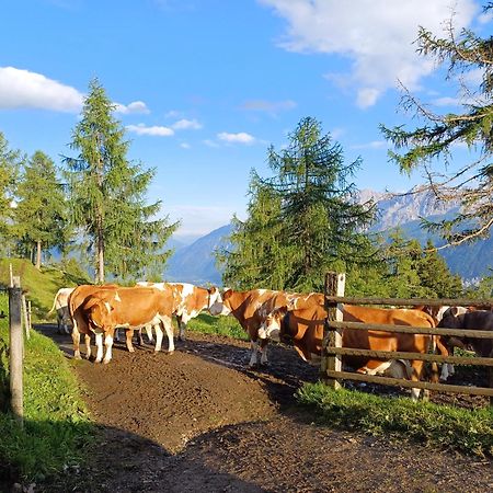 Appartamento Unterniggleralm Thurn Esterno foto