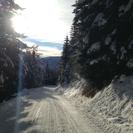 Appartamento Unterniggleralm Thurn Esterno foto