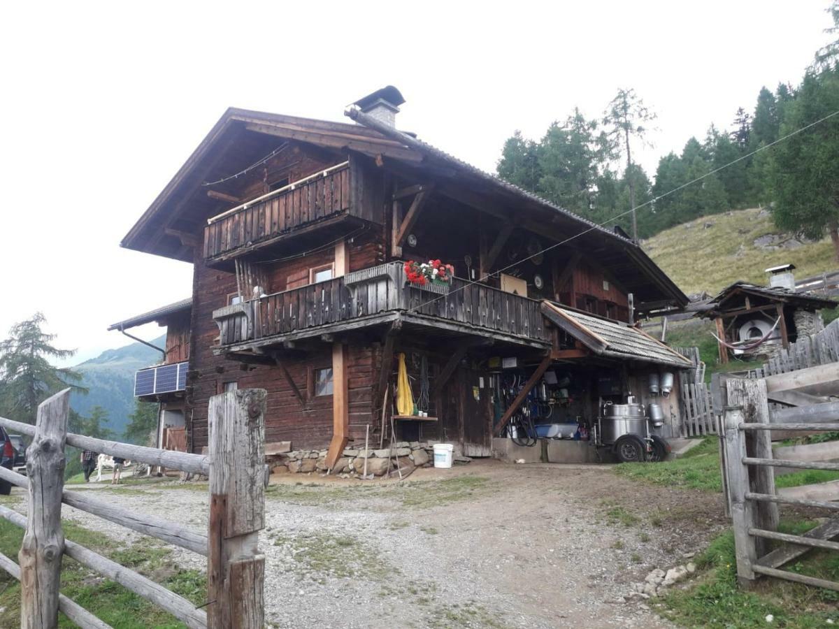 Appartamento Unterniggleralm Thurn Esterno foto