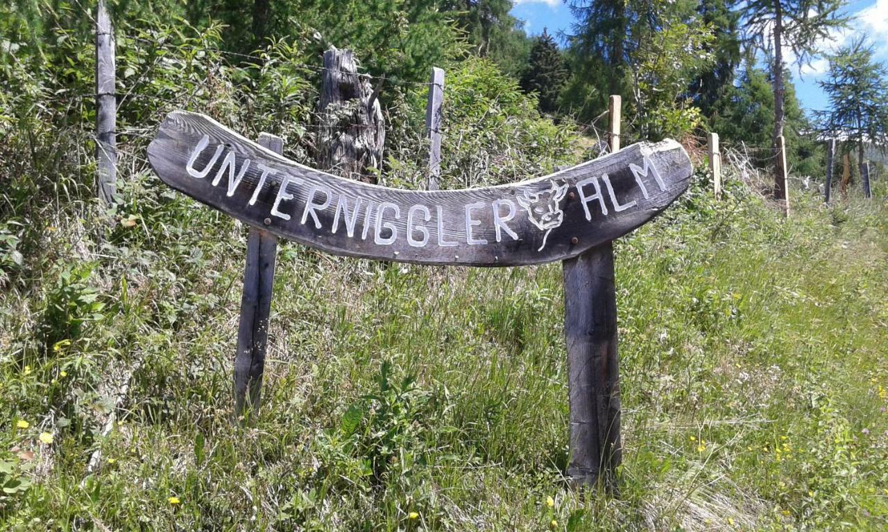 Appartamento Unterniggleralm Thurn Esterno foto