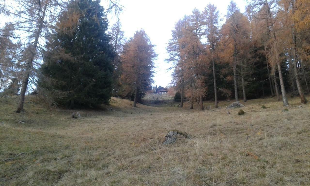 Appartamento Unterniggleralm Thurn Esterno foto